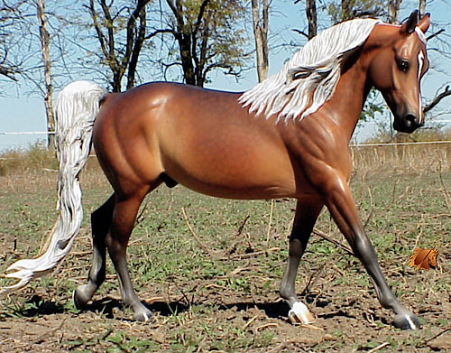 Cadence #9 Painted by C. Williams