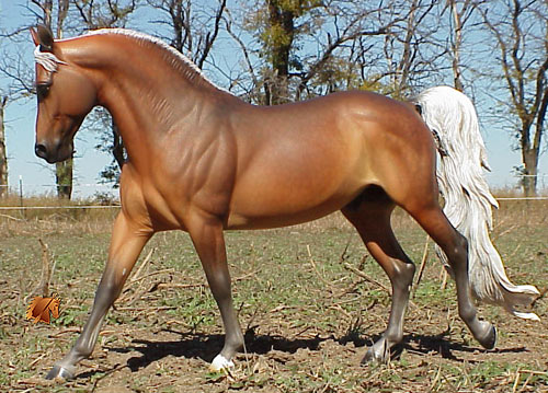 Cadence #9 Painted by C. Williams