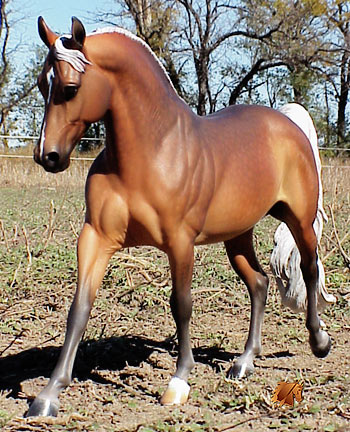 Cadence #9 Painted by C. Williams