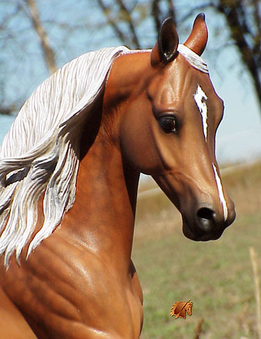 Cadence #9 Painted by C. Williams