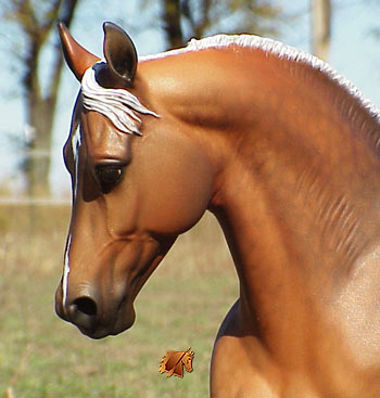 Cadence #9 Painted by C. Williams