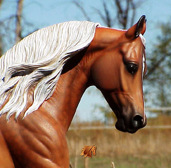 Cadence #9 Painted by C. Williams