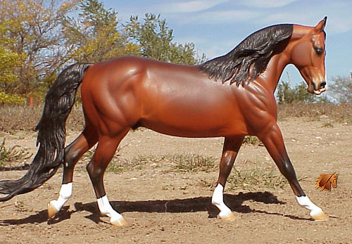 Cadence #10 Painted by C. Williams