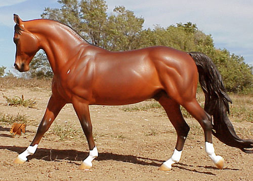 Cadence #10 Painted by C. Williams