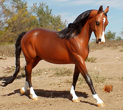 Cadence #10 Painted by C. Williams