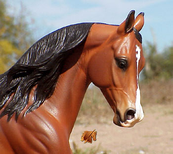 Cadence #10 Painted by C. Williams