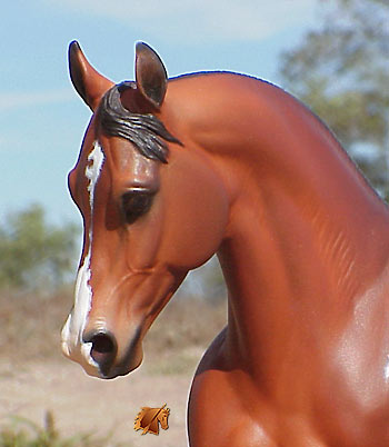 Cadence #10 Painted by C. Williams