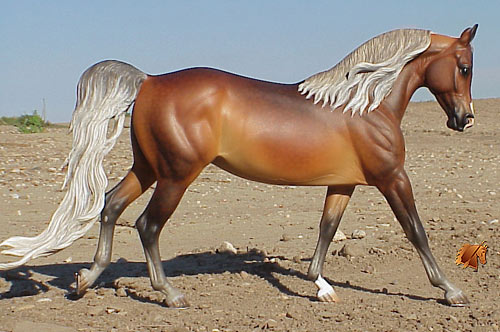 Cadence #11 Painted by C. Williams