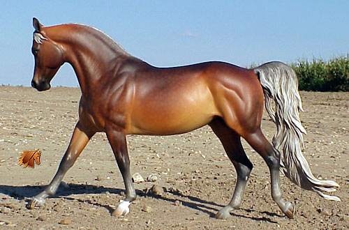 Cadence #11 Painted by C. Williams