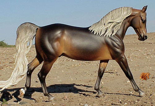 Cadence #12 Painted by C. Williams