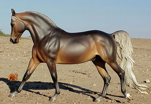 Cadence #12 Painted by C. Williams