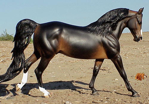 Cadence #13 Painted by C. Williams