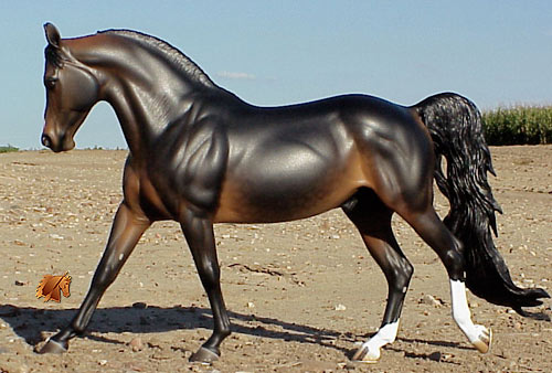 Cadence #13 Painted by C. Williams