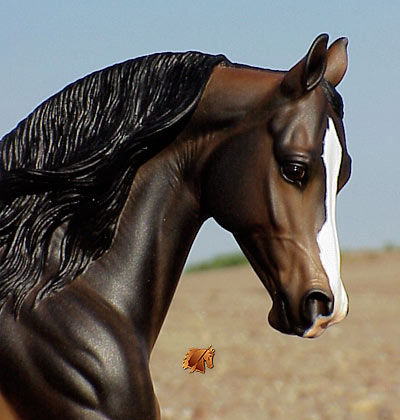 Cadence #13 Painted by C. Williams