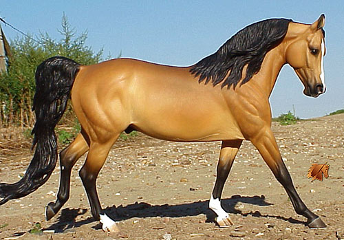 Cadence #14 Painted by C. Williams