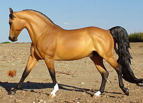 Cadence #14 Painted by C. Williams