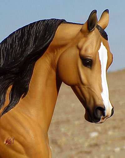 Cadence #14 Painted by C. Williams