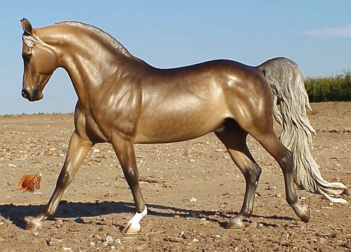 Cadence #15 Painted by C. Williams