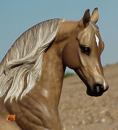 Cadence #15 Painted by C. Williams