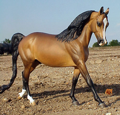 Knightly Cadence #16 Painted by C. Williams