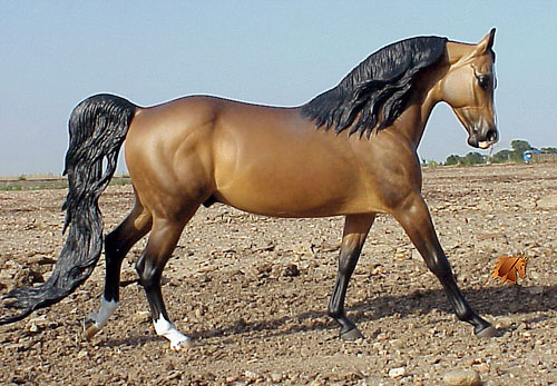 Knightly Cadence #16 Painted by C. Williams