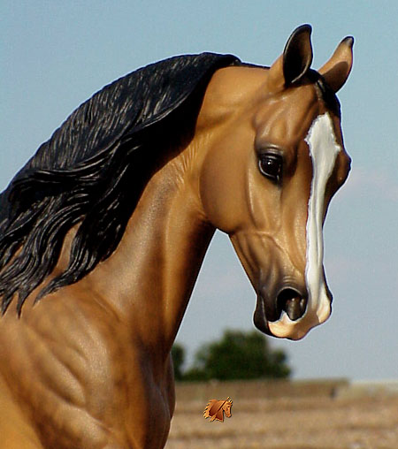 Knightly Cadence #16 Painted by C. Williams