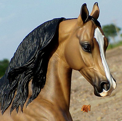 Knightly Cadence #16 Painted by C. Williams