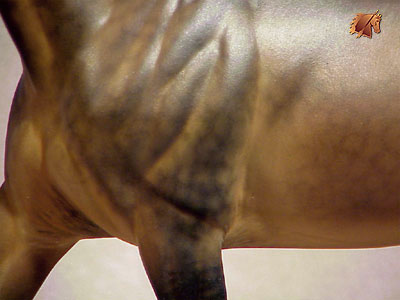 Knightly Cadence #17 Painted by C. Williams