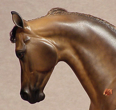 Knightly Cadence #17 Painted by C. Williams