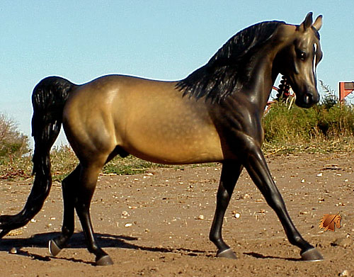 Knightly Cadence #18 Painted by C. Williams