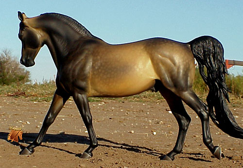 Knightly Cadence #18 Painted by C. Williams