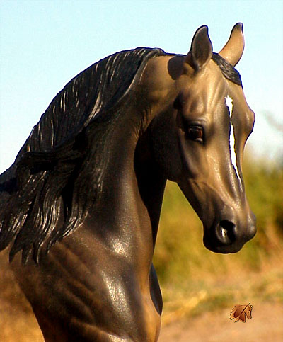 Knightly Cadence #18 Painted by C. Williams