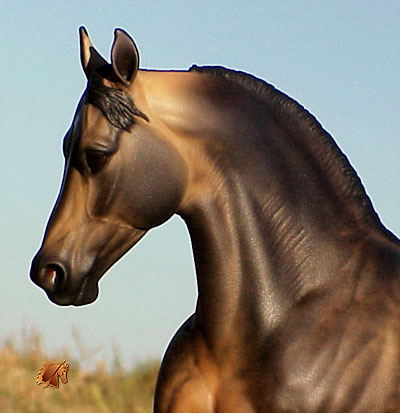 Knightly Cadence #18 Painted by C. Williams