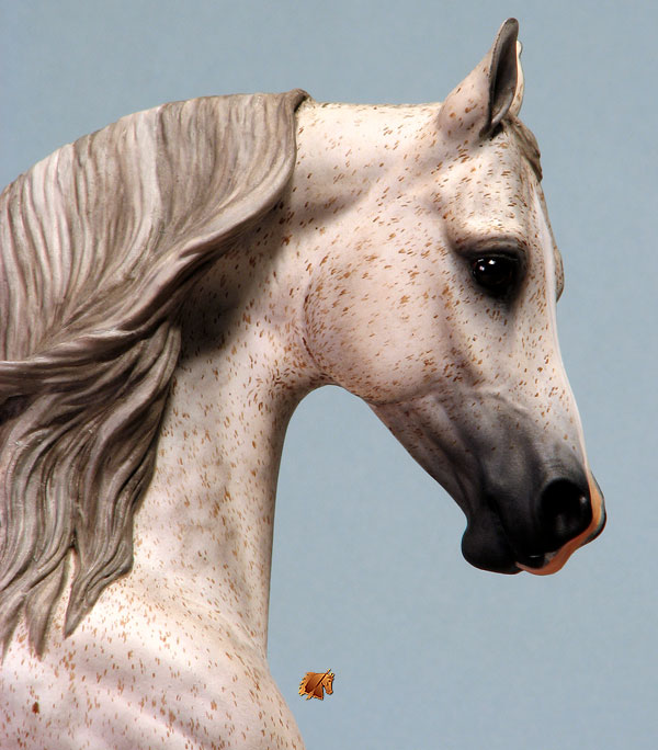 Knightly Cadence #24-P2 Painted by C. Williams