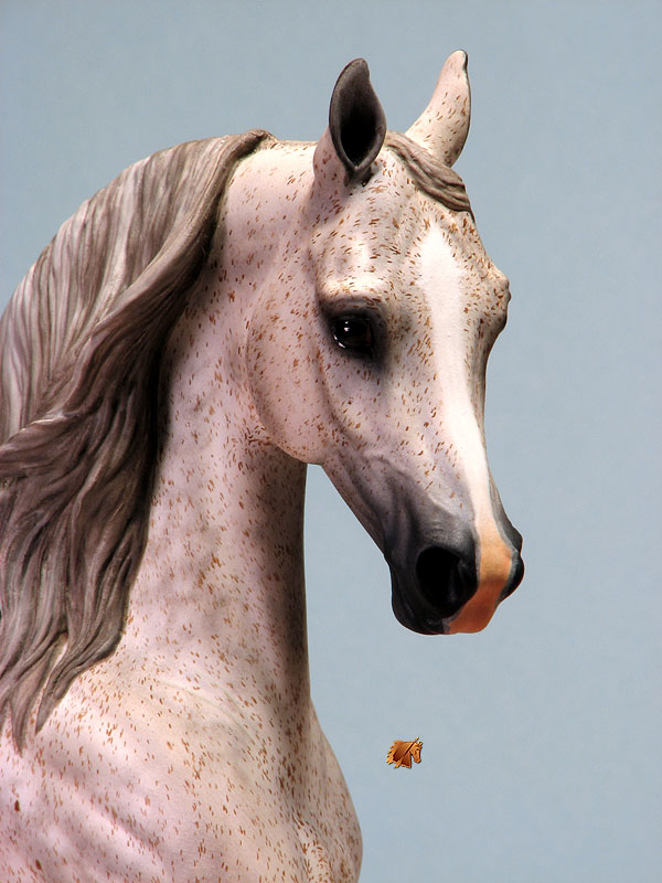 Knightly Cadence #24-P2 Painted by C. Williams