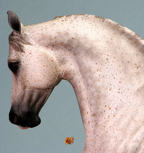 Knightly Cadence #24-P2 Painted by C. Williams