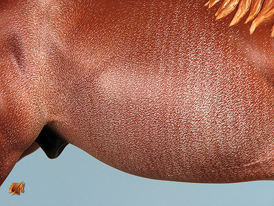 Knightly Cadence #30-P2 Painted by C. Williams