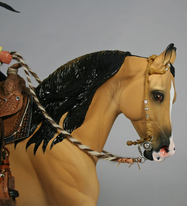 Knightly Cadence Painted by Sheila Anderson