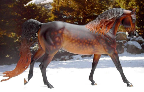 Knightly Cadence Painted by Gayle Heaps