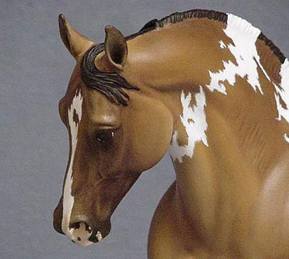 Knightly Cadence Painted by Mandy Hood