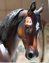 Knightly Cadence Painted by Corrie McDermott