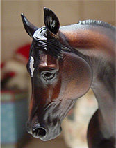 Knightly Cadence Painted by Corrie McDermott