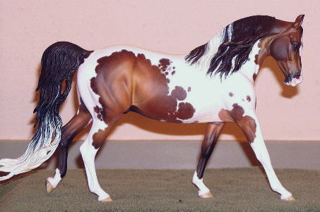 Knightly Cadence Painted by Paige Easley Patty