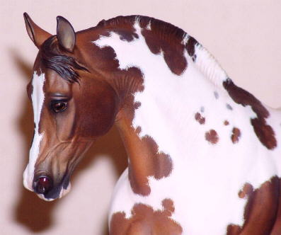 Knightly Cadence Painted by Paige Easley Patty