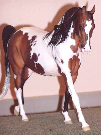 Knightly Cadence Painted by Paige Easley Patty