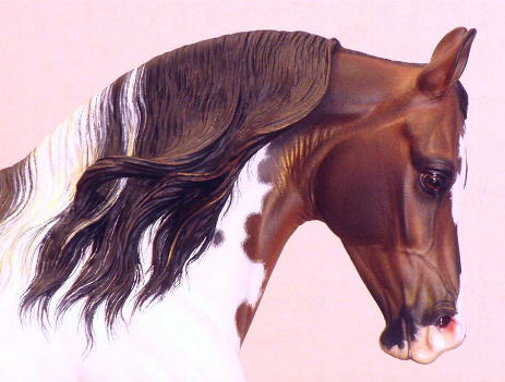 Knightly Cadence Painted by Paige Easley Patty