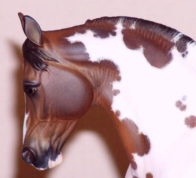 Knightly Cadence Painted by Paige Easley Patty