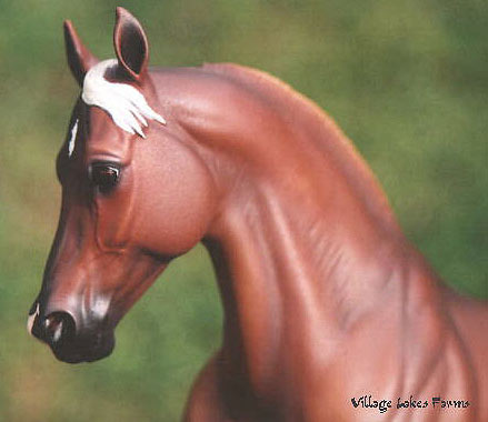 Knightly Cadence Painted by Nicole Reid