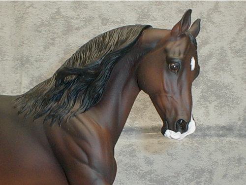 Knightly Cadence Painted by Pat Hefty