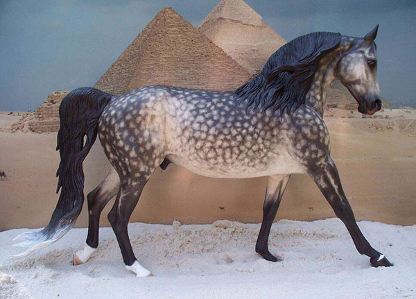 Knightly Cadence Painted by Tammy Mayberry